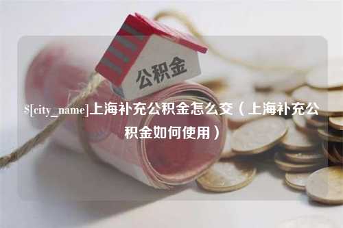 长治上海补充公积金怎么交（上海补充公积金如何使用）